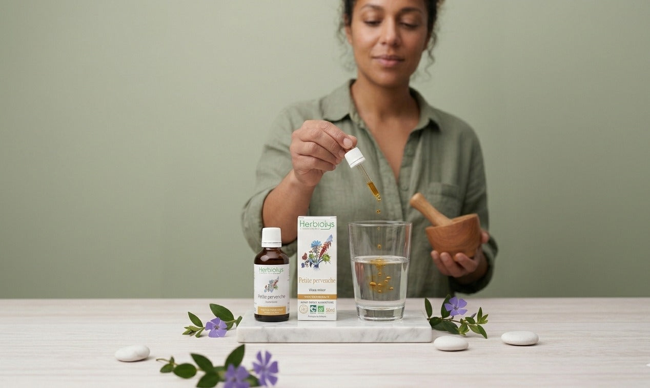 Petite Pervenche BIO : quand votre cerveau réclame un peu de douceur