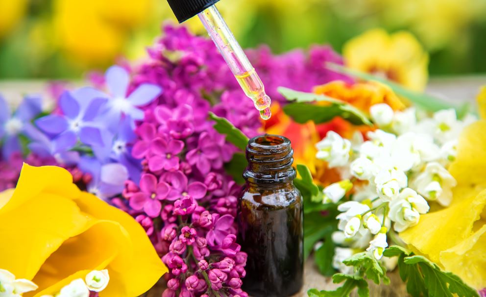 Découverte de la phytothérapie et de la gemmothérapie : un voyage vers le bien-être naturel - Soin de Toi