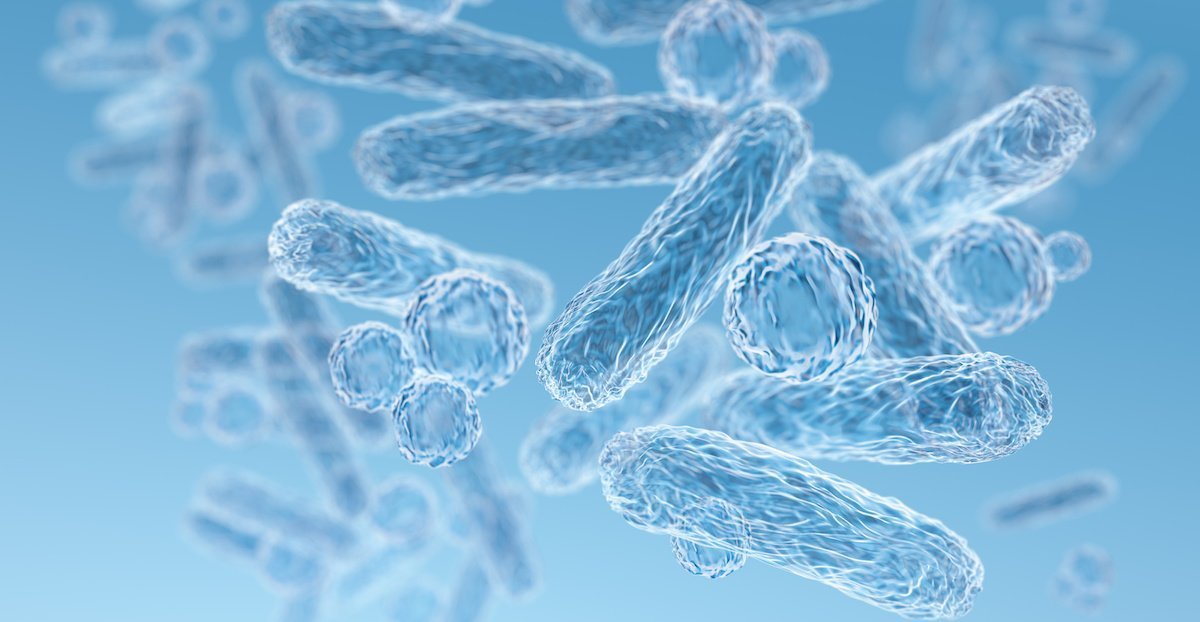EM ou microorganismes efficaces - Soin de Toi
