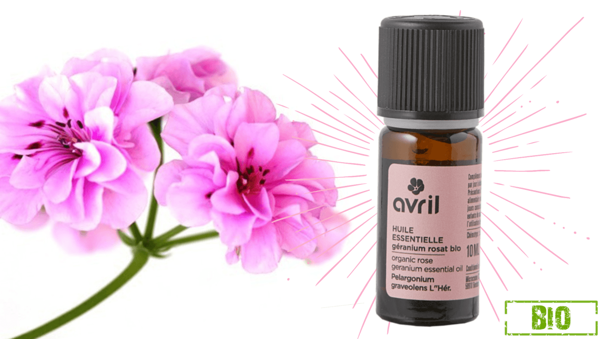 Huile essentielle de géranium Rosat Avril - Soin de Toi