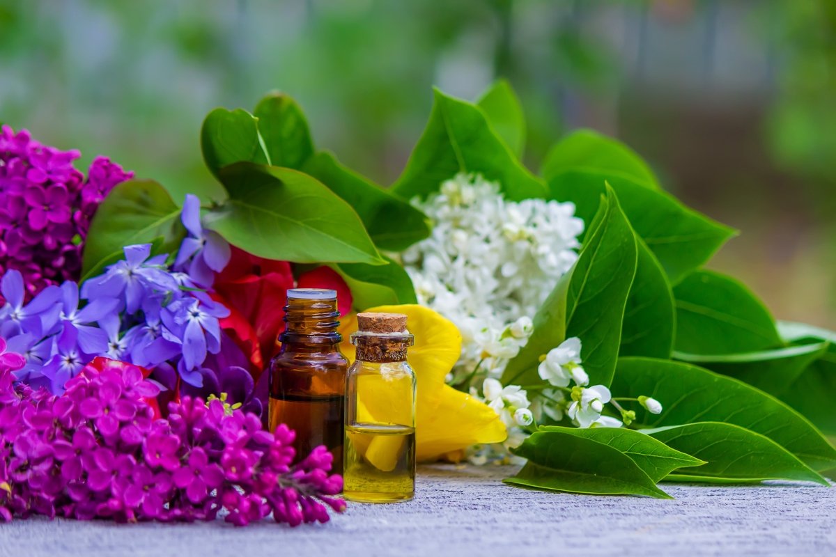 Les 5 meilleures plantes en gemmothérapie pour renforcer le système immunitaire - Soin de Toi