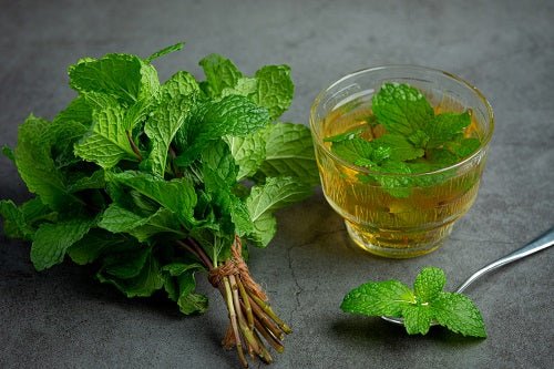 Les propriétés médicinales de la Menthe : Digestion, Apaisement et Fraîcheur - Soin de Toi