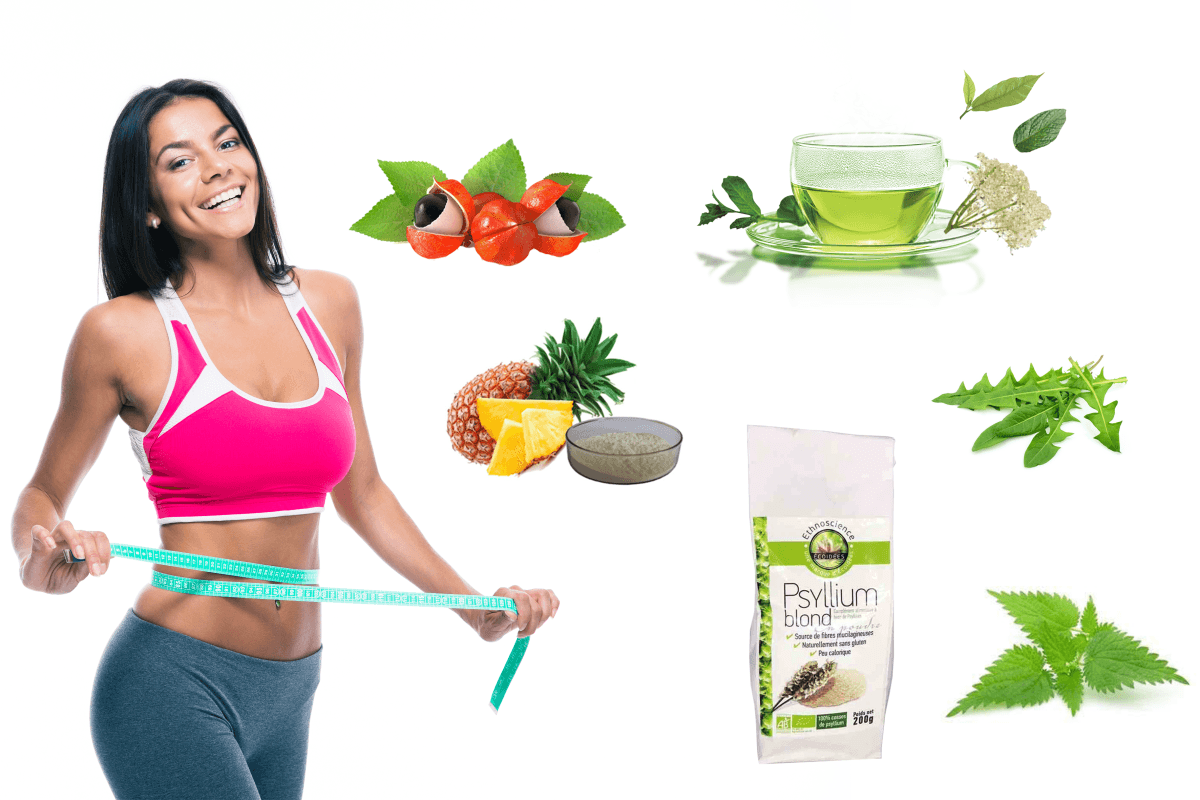 Quelles plantes consommer pour favoriser la perte de poids ? - Soin de Toi