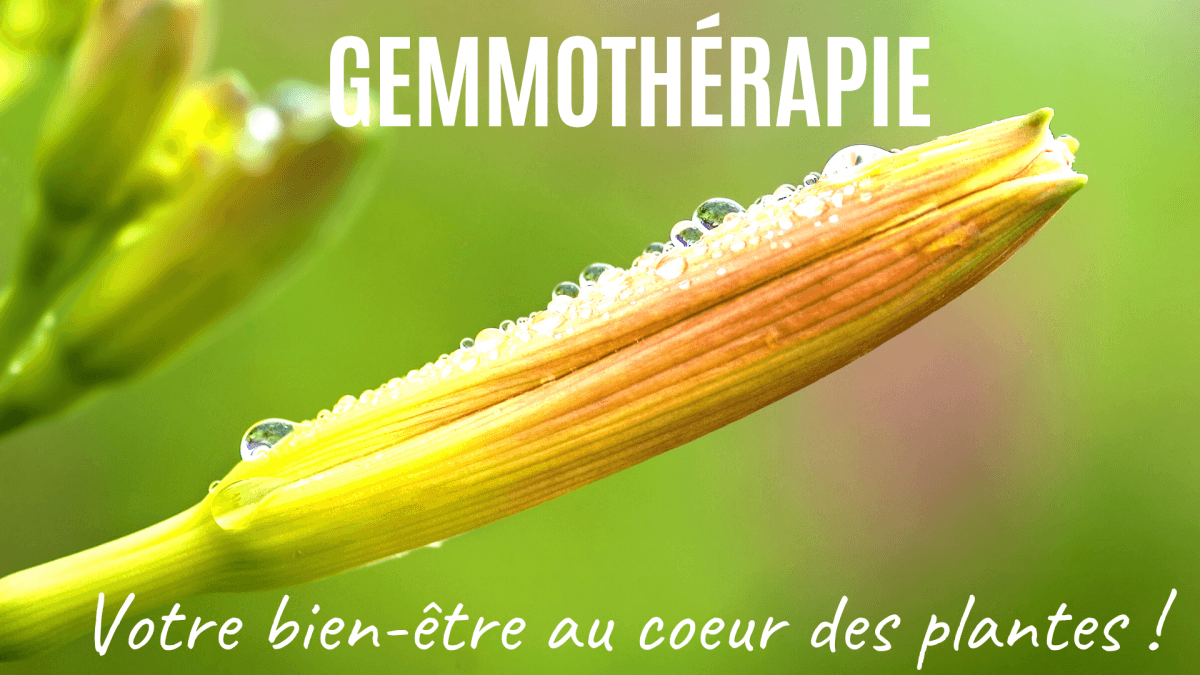 Qu'est ce que la gemmothérapie, ses bienfaits, son origine... - Soin de Toi