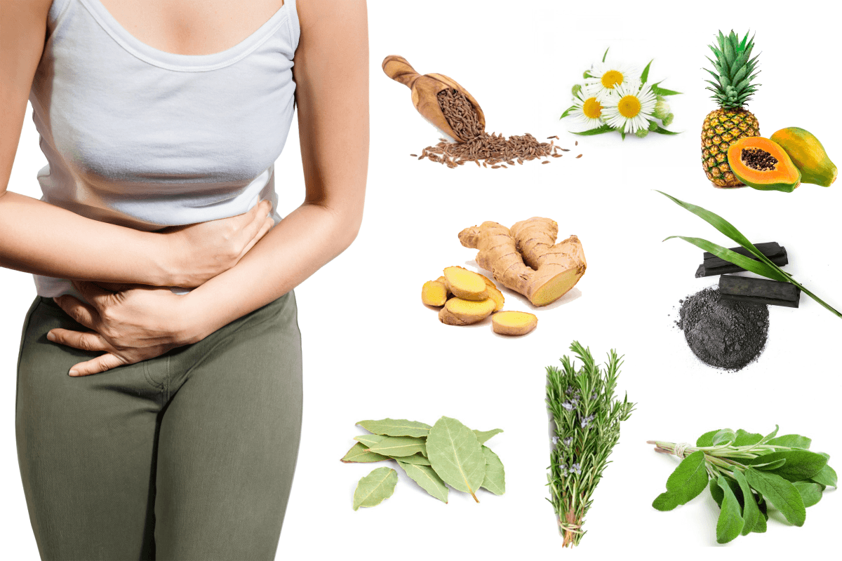 Soigner les ballonnements par les plantes, comment ça marche ? - Soin de Toi