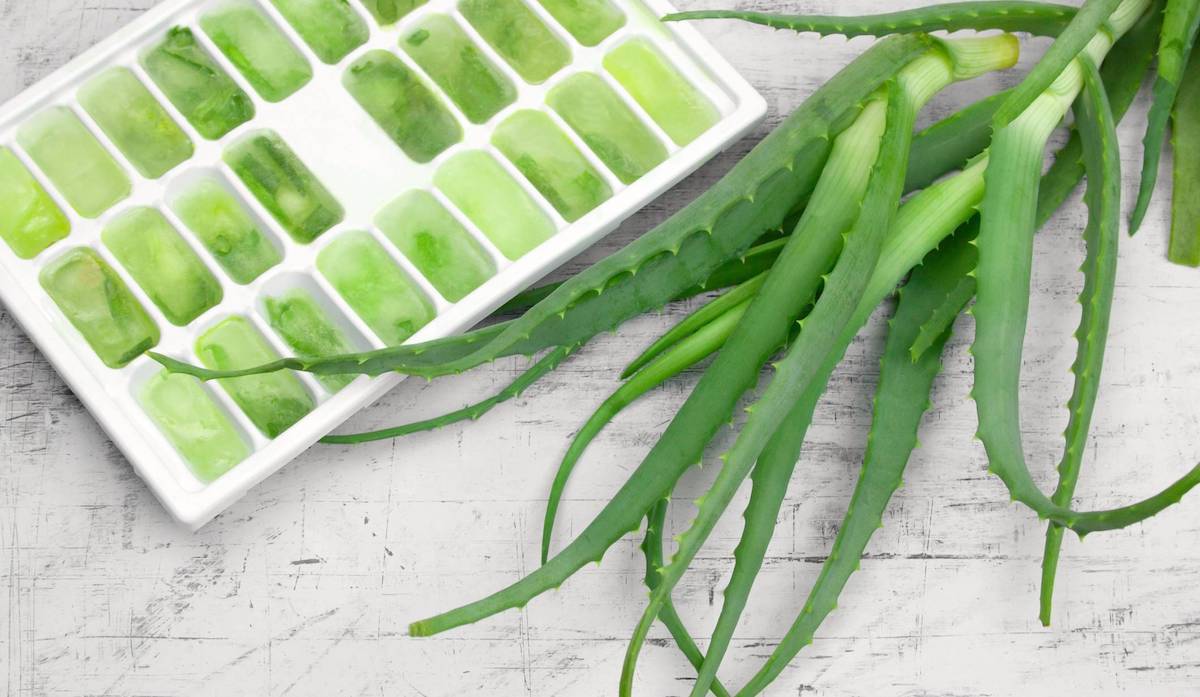 Soin anti-âge : glaçons à l'Aloe Vera - Soin de Toi