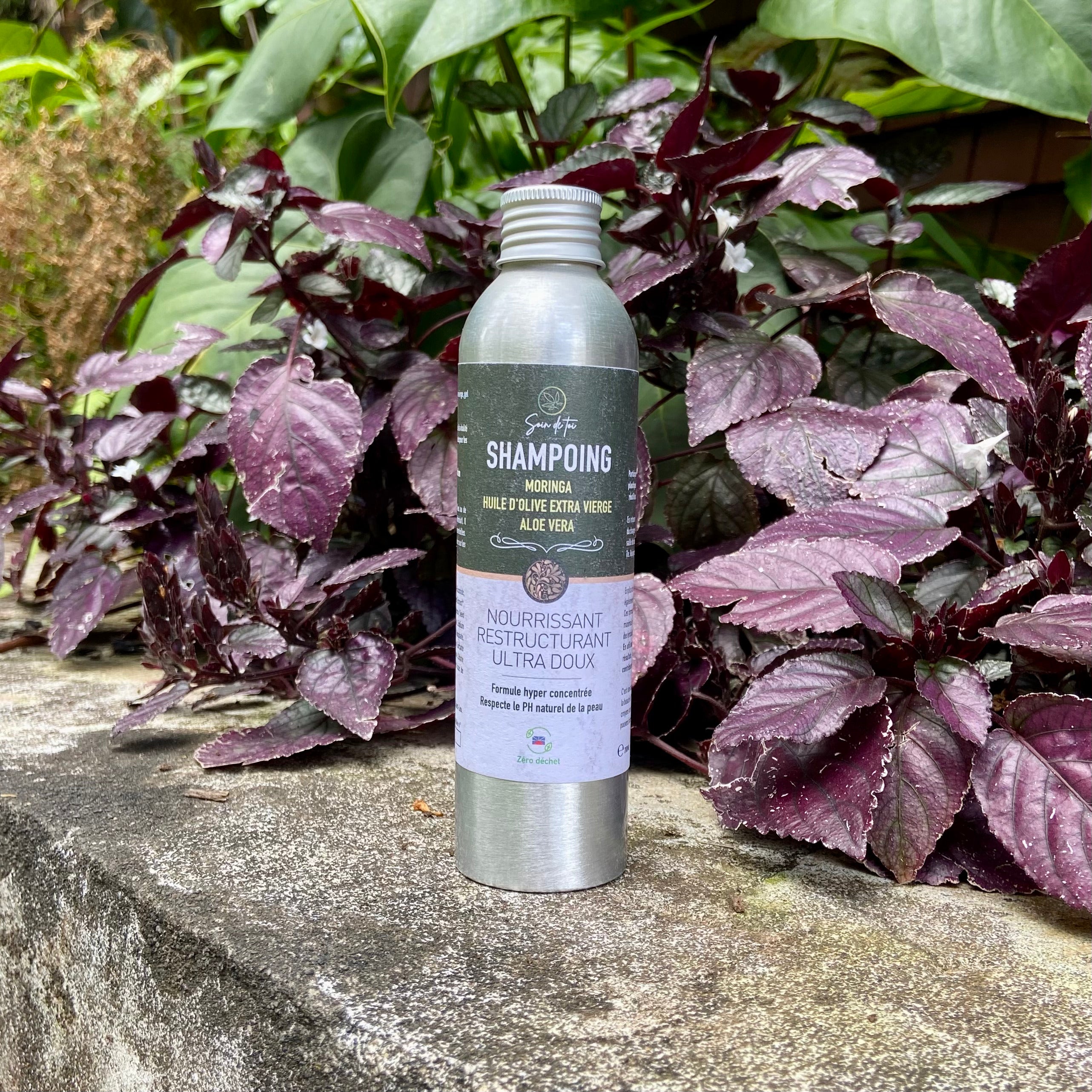 Application du Shampoing Moringa Nourrissant, Restructurant & Ultra Doux sous la douche