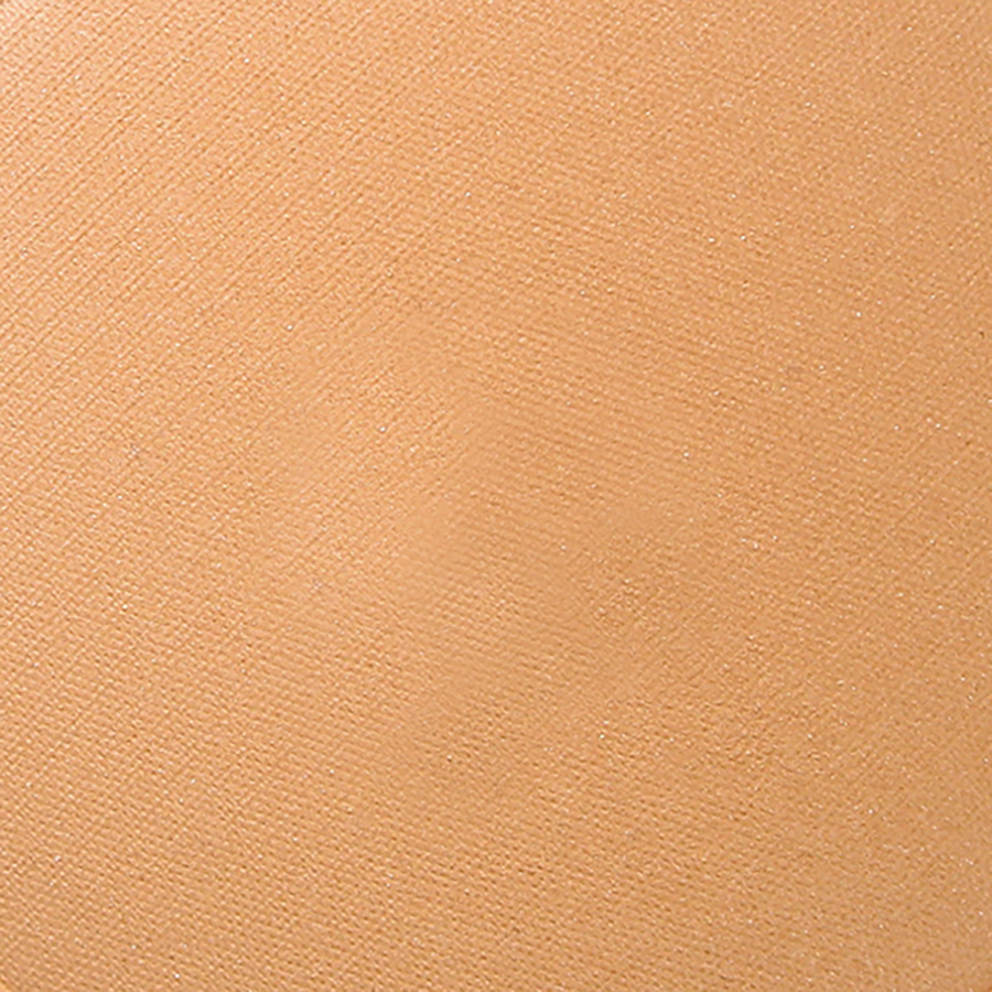Application de la Terre cuite minérale 341 Beige cuivré au pinceau sur le visage