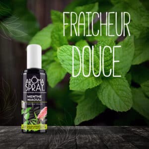 Utilisation de la Menthe Niaouli