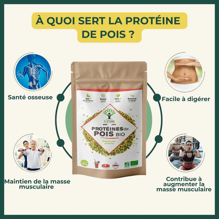 Bienfaits des Protéines de pois en poudre
